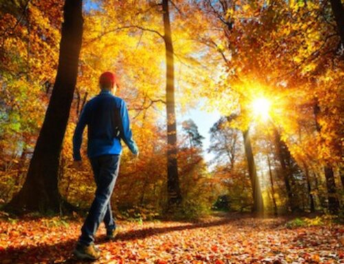 Fall is in the Air
